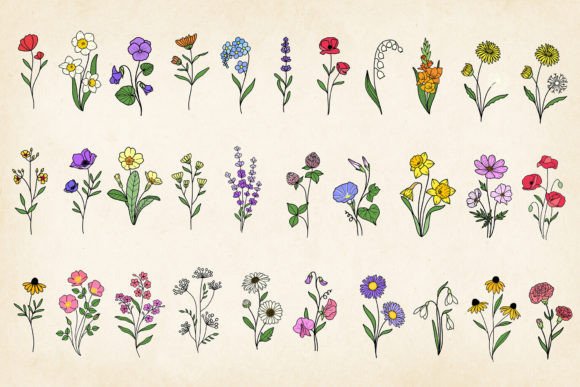 Download Hand-drawn Minimal Wildflowers Bundle - Drawn Collection